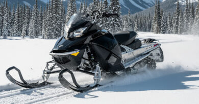Best Snowmobile Skis