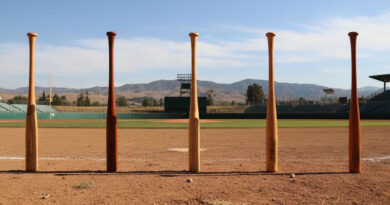 Best Balanced Baseball Bats
