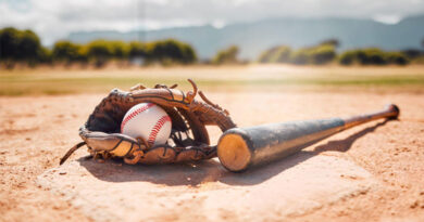 Best Baseball Bat For Beginners