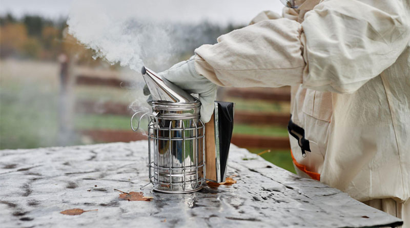 Best Bee Smokers For Beekeeping