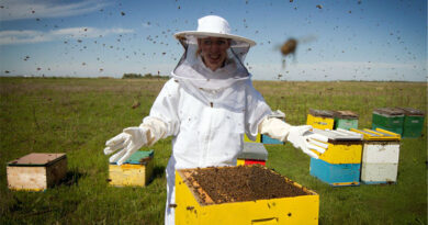 Best Bee Suits For Hot Weather