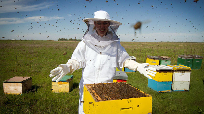 Best Bee Suits For Hot Weather