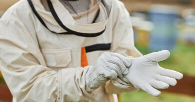 Best Beekeeping Gloves