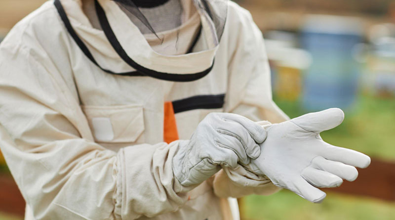 Best Beekeeping Gloves