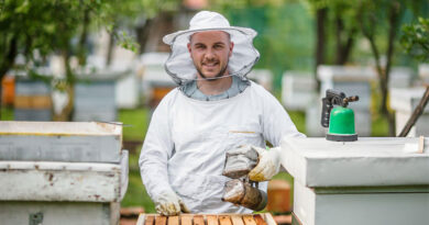 Best Beekeeping Hats And Veils