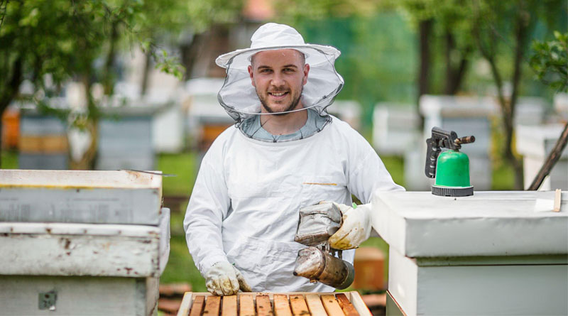 Best Beekeeping Hats And Veils