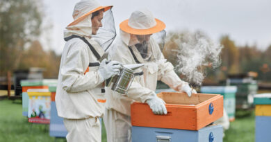 Best Beekeeping Jackets