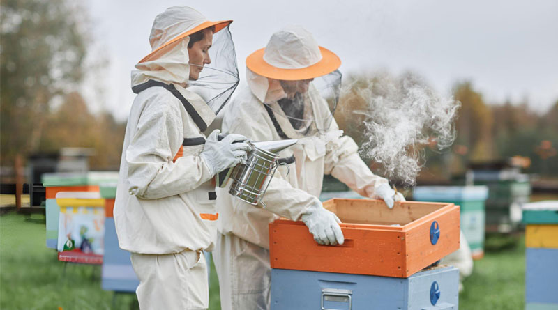 Best Beekeeping Jackets