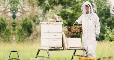 Best Beekeeping Suits