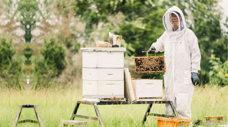 Best Beekeeping Suits