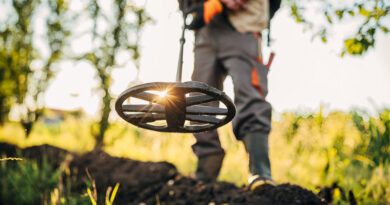 Best Budget Metal Detectors