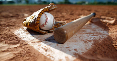 Best Budget Youth Baseball Bats