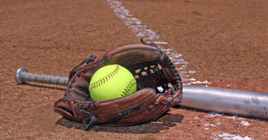 Best Fastpitch Softball Gloves