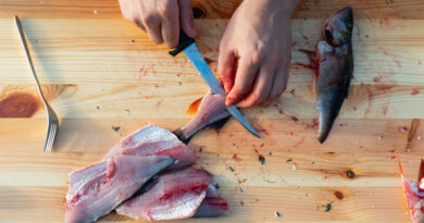 Best Fillet Knives For Catfish