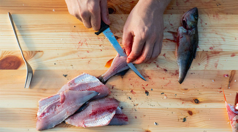 Best Fillet Knives For Catfish
