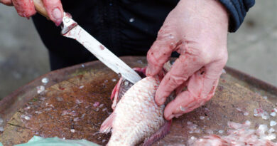 Best Fillet Knives For Crappie