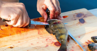 Best Fillet Knives For Panfish