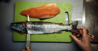 Best Fillet Knives For Trout