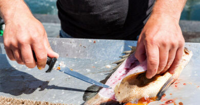 Best Fillet Knives For Walleye