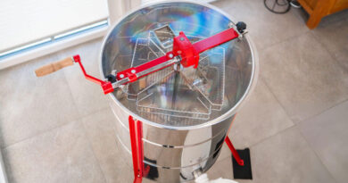 Best Honey Extractors For Beginners