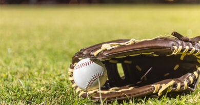 Best Infield Baseball Gloves