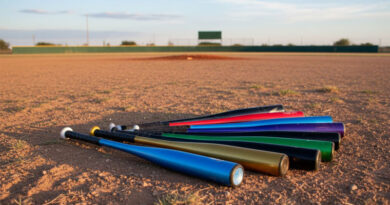 Best Metal Baseball Bats