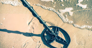 Best Metal Detectors For Beginners