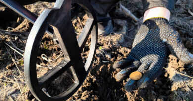 Best Metal Detectors For Coins