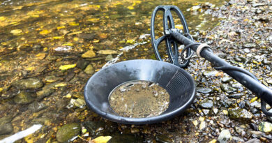 Best Metal Detectors For Gold