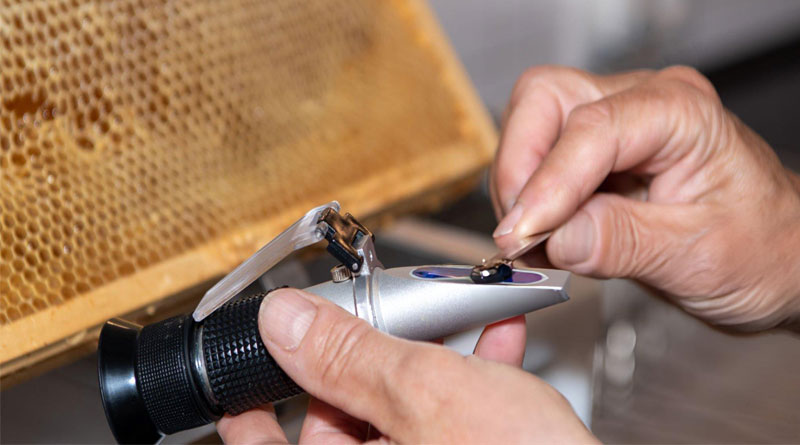 Best Refractometers For Honey