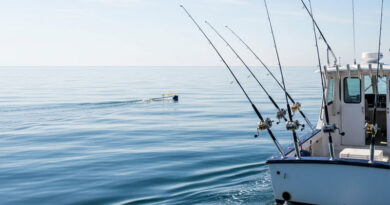 Best Rod Holders For Trolling