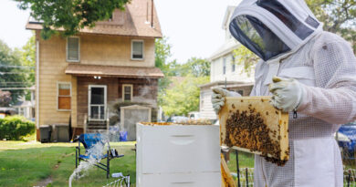 Best Bee Suits For Honey Bees