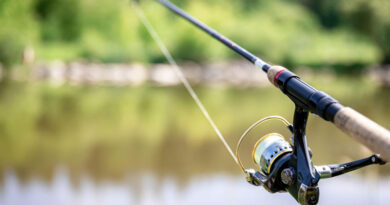 Best Braided Fishing Line For Spinning Reels