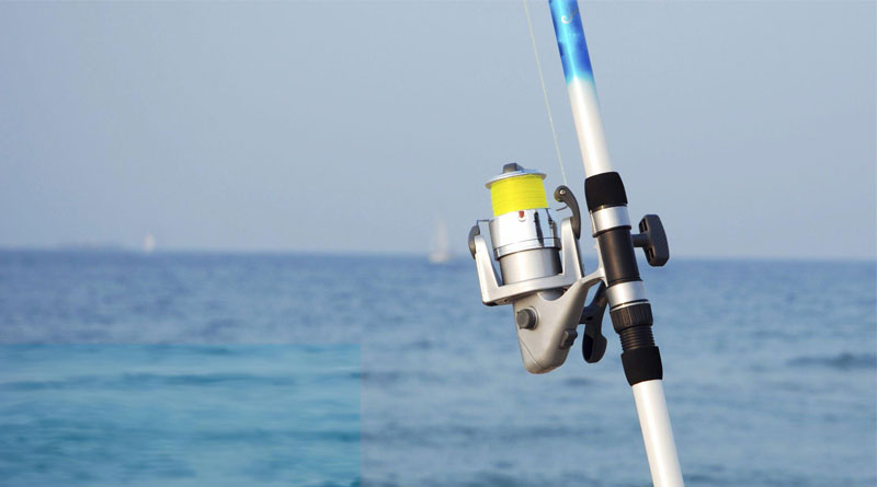 Best Braided Lines For Surf Fishing