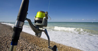 Best Fishing Lines For Surf Fishing