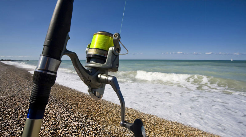 Best Fishing Lines For Surf Fishing