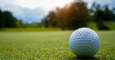 Best Golf Balls Under $30