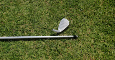 Best Golf Shafts For Beginners