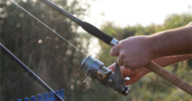 Best Low Stretch Monofilament Fishing Lines