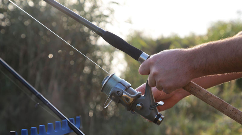 Best Low Stretch Monofilament Fishing Lines