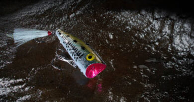 Best Lures For Striped Bass At Night