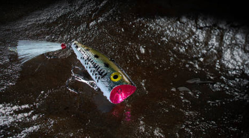 Best Lures For Striped Bass At Night