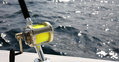 Best Monofilament Fishing Line For Saltwater