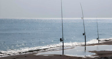 Best Rods For Striper Fishing From Shore