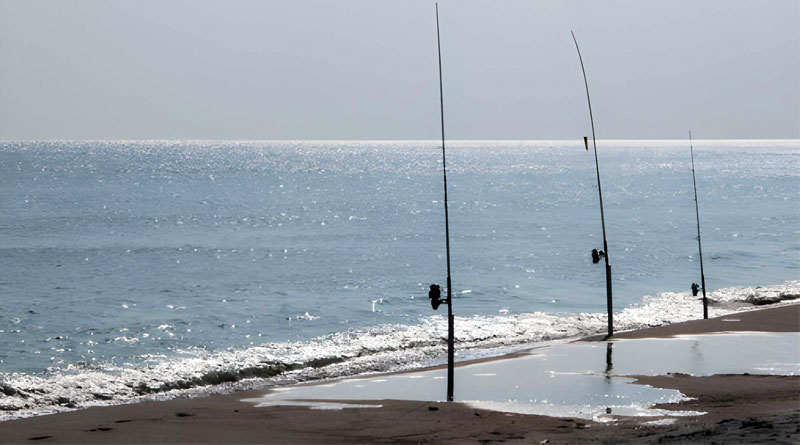 Best Rods For Striper Fishing From Shore