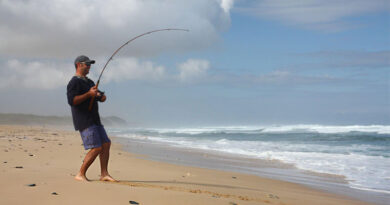 Best Saltwater Surf Fishing Rods