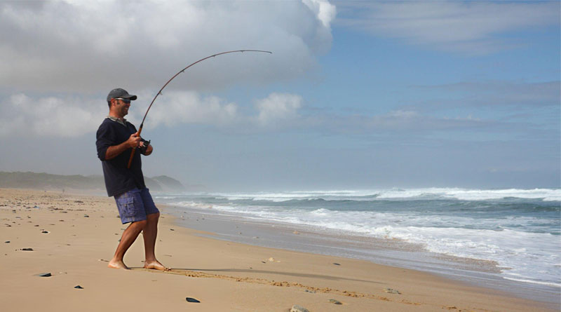 Best Saltwater Surf Fishing Rods