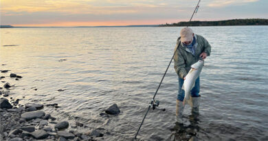 Best Spinning Reels For Surf Fishing