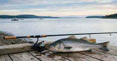 Best Striped Bass Rod And Reel Combos