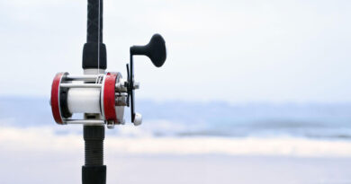 Best Surf Casting Reels For Distance